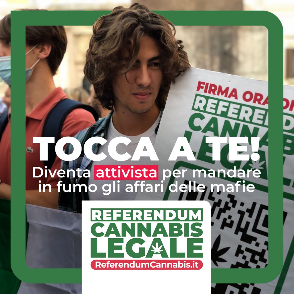 tocca a te